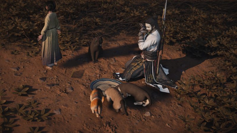 Cat Gathering Quest Guide: Where to Find All the Missing Cats in Where the Wind Meets